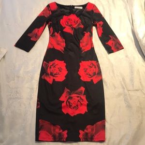 Red rose dress